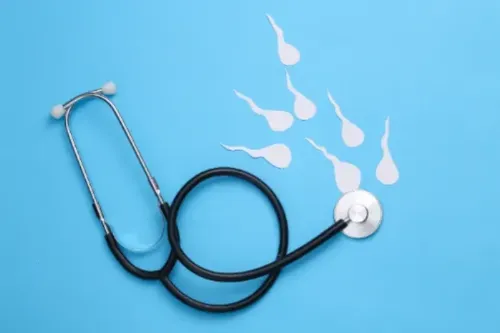 Male Fertility Testing Male Fertility Testing